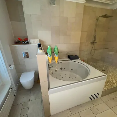 Prestigieux Duplex & Jacuzzi - Saint-petersbourg